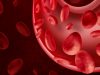 What Are VSELs in the Umbilical Cord Blood?