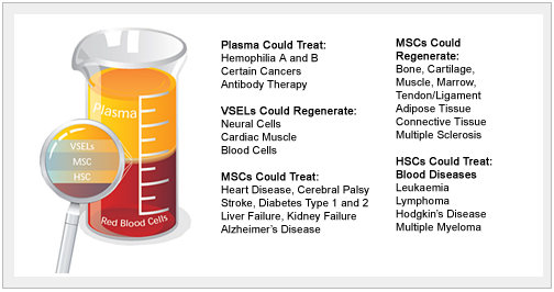 The Importance of Whole Cord Blood Stem Cells