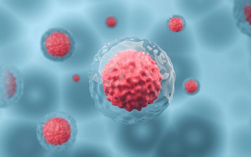 The Life-Saving Potential of Cord Blood: A Must-Read for Expecting Parents