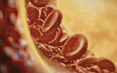 Using Umbilical Cord Blood for Regenerative Medicine