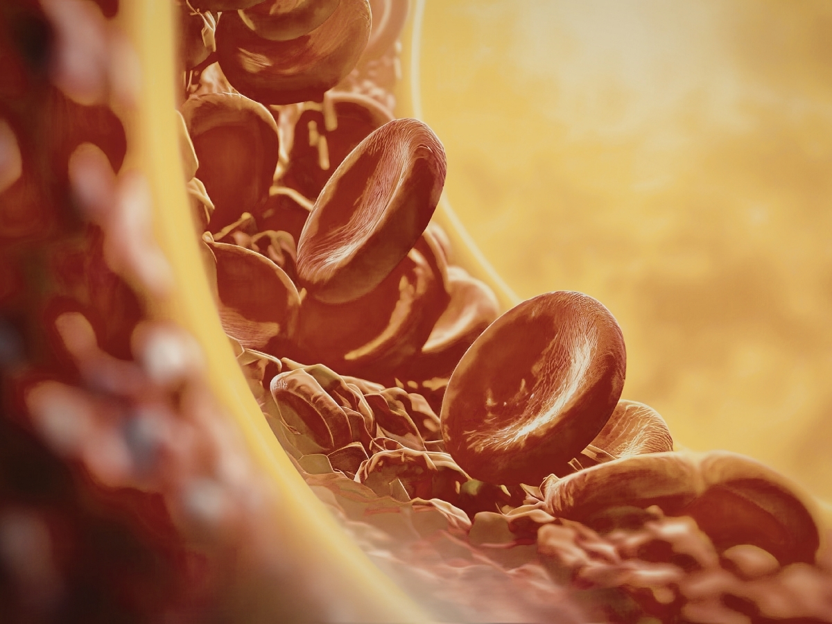 cord blood stem cells